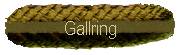 Gallring