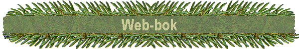 Web-bok